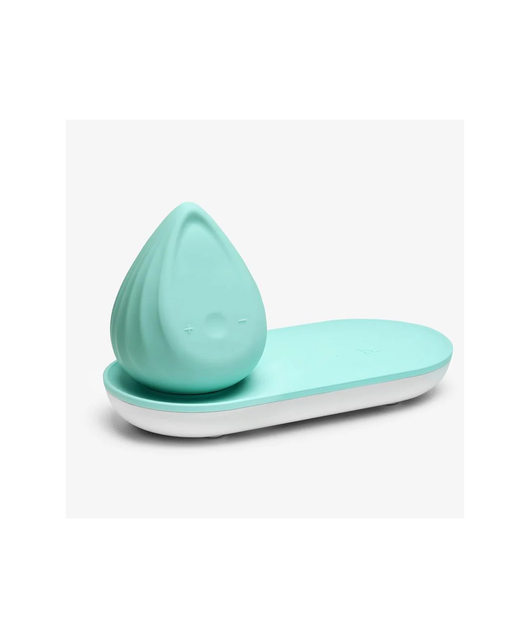 Biird Evii minivibrators