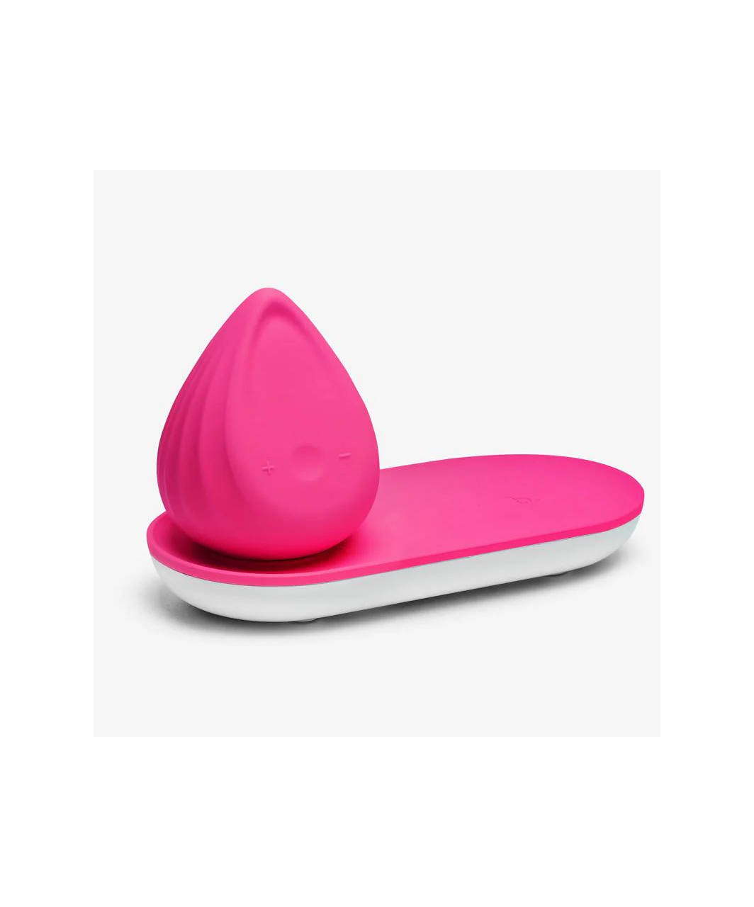 Biird Evii minivibrators