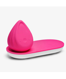 Biird Evii minivibrators