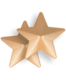 SEXYSTYLE star-shaped metal pasties